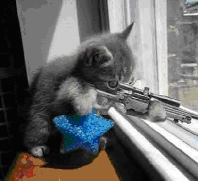 /brettlangdon/dotfiles/src/commit/53141b5d542de834321a5deccf9f88ee6b9ee997/spacemacs.d/layers/+vim/evil-snipe/img/Cat_With_Rifle.jpg